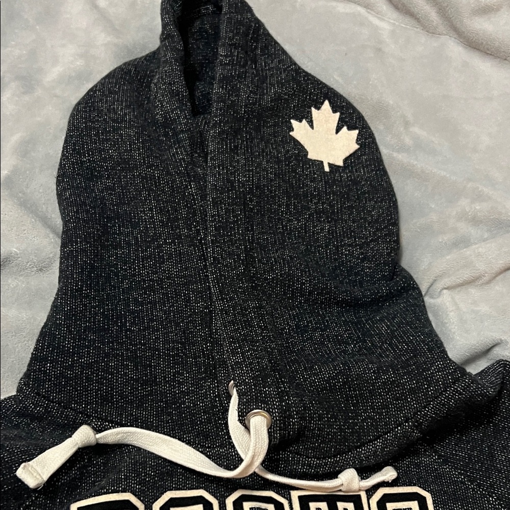 Roots Charcoal Hoodie with Cream Logo - Picture 3 of 5